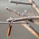 IMG_1580